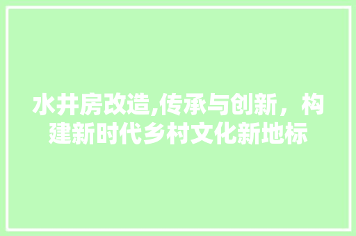 水井房改造,传承与创新，构建新时代乡村文化新地标