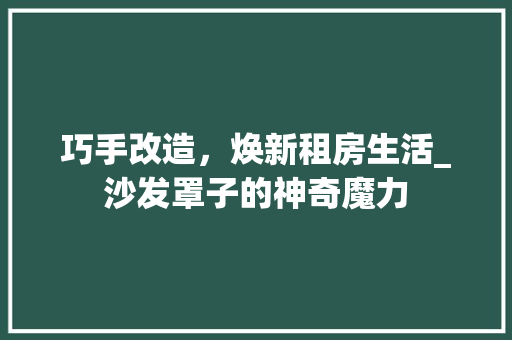 巧手改造，焕新租房生活_沙发罩子的神奇魔力