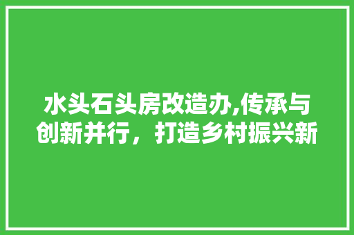 水头石头房改造办,传承与创新并行，打造乡村振兴新典范