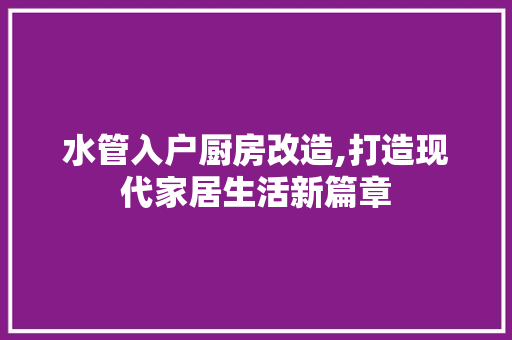 水管入户厨房改造,打造现代家居生活新篇章