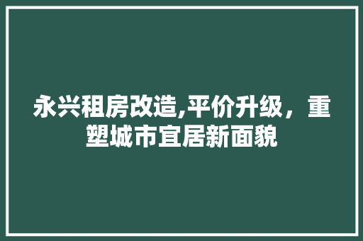 永兴租房改造,平价升级，重塑城市宜居新面貌