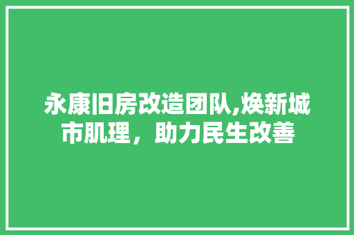 永康旧房改造团队,焕新城市肌理，助力民生改善