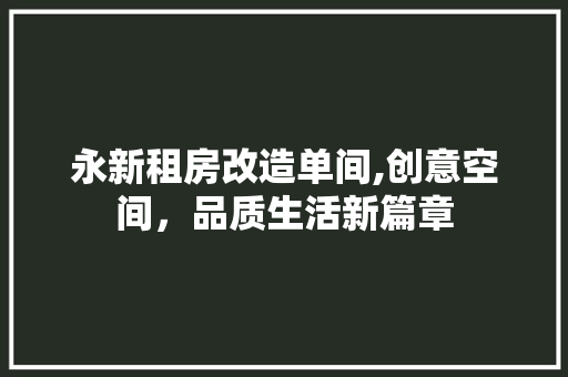 永新租房改造单间,创意空间，品质生活新篇章
