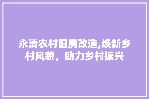 永清农村旧房改造,焕新乡村风貌，助力乡村振兴