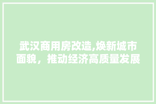 武汉商用房改造,焕新城市面貌，推动经济高质量发展