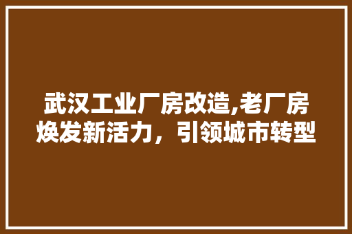 武汉工业厂房改造,老厂房焕发新活力，引领城市转型升级