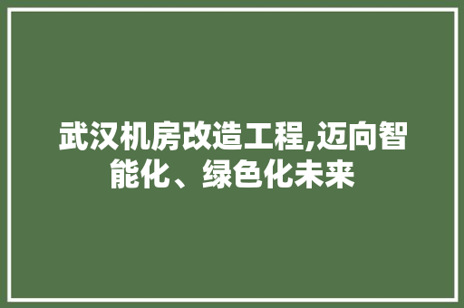 武汉机房改造工程,迈向智能化、绿色化未来