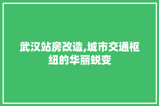 武汉站房改造,城市交通枢纽的华丽蜕变