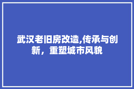 武汉老旧房改造,传承与创新，重塑城市风貌