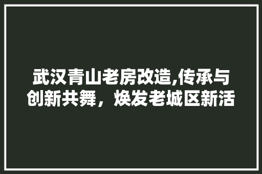 武汉青山老房改造,传承与创新共舞，焕发老城区新活力
