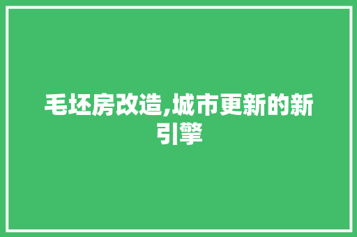 毛坯房改造,城市更新的新引擎