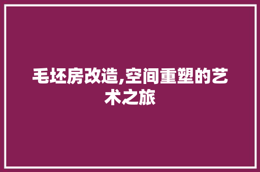 毛坯房改造,空间重塑的艺术之旅