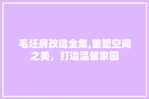 毛坯房改造全集,重塑空间之美，打造温馨家园