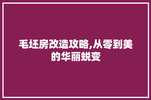 毛坯房改造攻略,从零到美的华丽蜕变