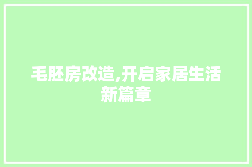 毛胚房改造,开启家居生活新篇章