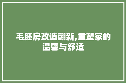 毛胚房改造翻新,重塑家的温馨与舒适