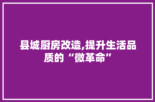 县城厨房改造,提升生活品质的“微革命”