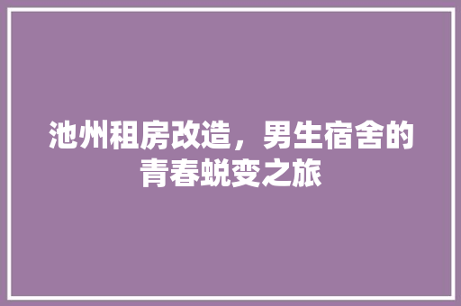 池州租房改造，男生宿舍的青春蜕变之旅