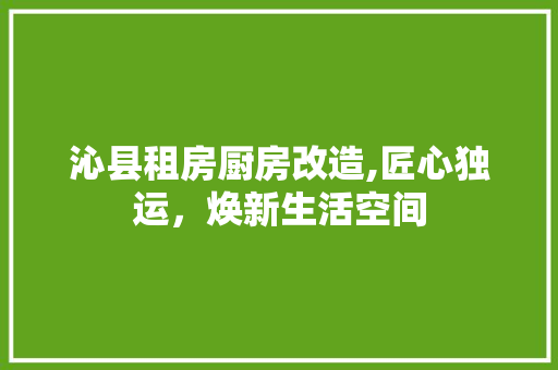 沁县租房厨房改造,匠心独运，焕新生活空间