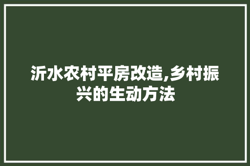沂水农村平房改造,乡村振兴的生动方法