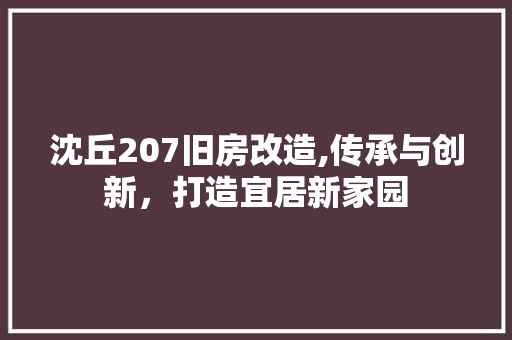 沈丘207旧房改造,传承与创新，打造宜居新家园