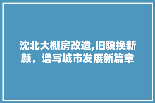 沈北大棚房改造,旧貌换新颜，谱写城市发展新篇章
