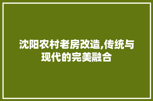 沈阳农村老房改造,传统与现代的完美融合