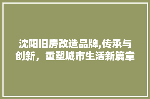 沈阳旧房改造品牌,传承与创新，重塑城市生活新篇章