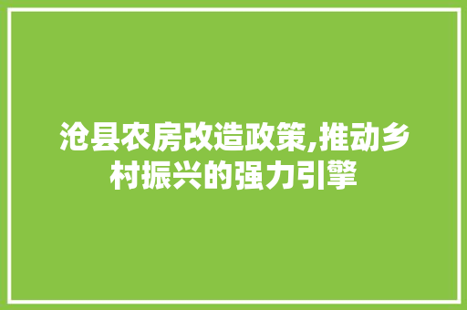 沧县农房改造政策,推动乡村振兴的强力引擎