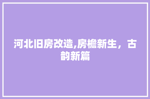 河北旧房改造,房檐新生，古韵新篇