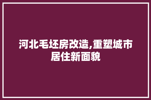 河北毛坯房改造,重塑城市居住新面貌