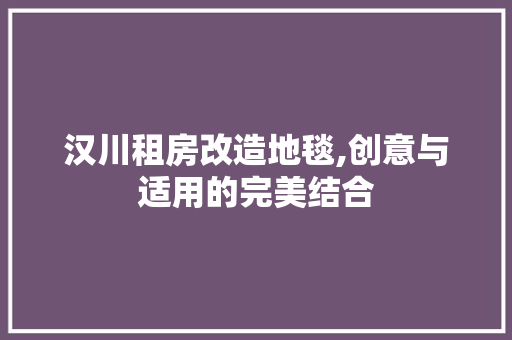 汉川租房改造地毯,创意与适用的完美结合