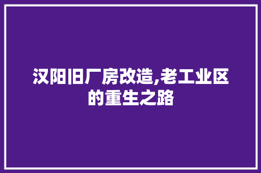 汉阳旧厂房改造,老工业区的重生之路