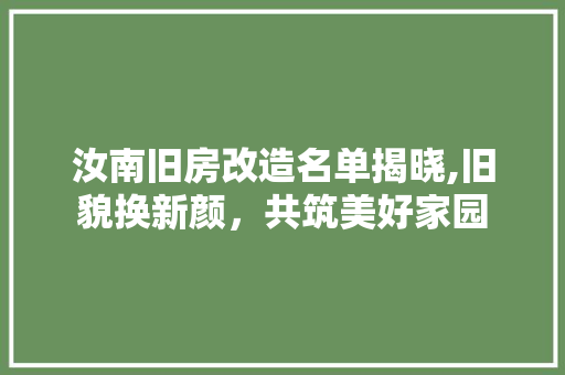 汝南旧房改造名单揭晓,旧貌换新颜，共筑美好家园