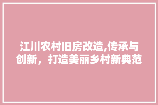 江川农村旧房改造,传承与创新，打造美丽乡村新典范