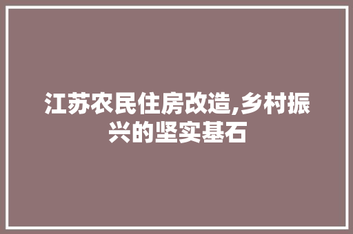 江苏农民住房改造,乡村振兴的坚实基石