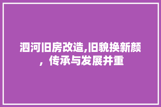 泗河旧房改造,旧貌换新颜，传承与发展并重