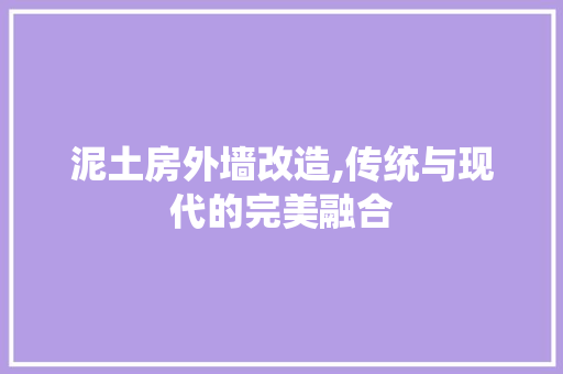 泥土房外墙改造,传统与现代的完美融合