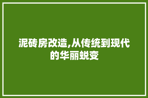 泥砖房改造,从传统到现代的华丽蜕变