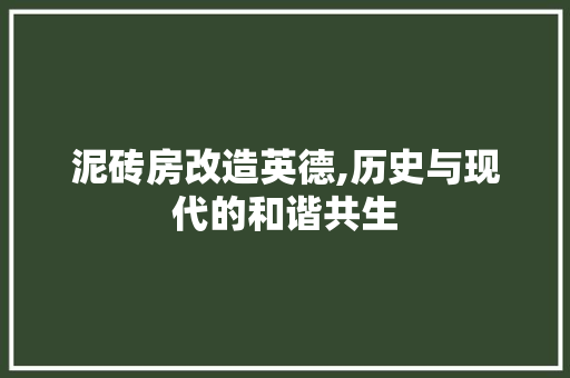 泥砖房改造英德,历史与现代的和谐共生