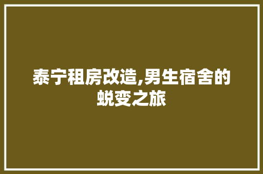 泰宁租房改造,男生宿舍的蜕变之旅