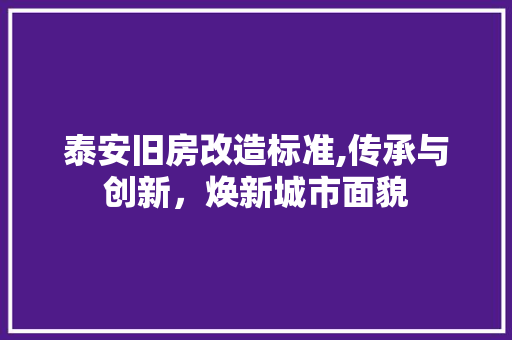 泰安旧房改造标准,传承与创新，焕新城市面貌
