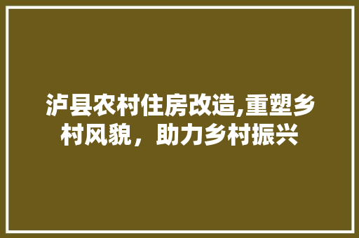 泸县农村住房改造,重塑乡村风貌，助力乡村振兴