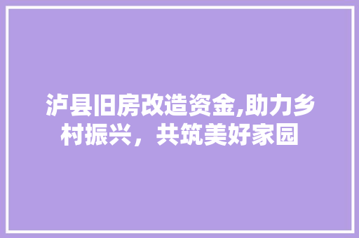 泸县旧房改造资金,助力乡村振兴，共筑美好家园