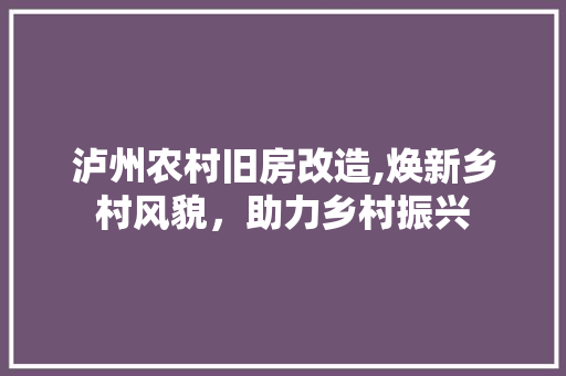 泸州农村旧房改造,焕新乡村风貌，助力乡村振兴