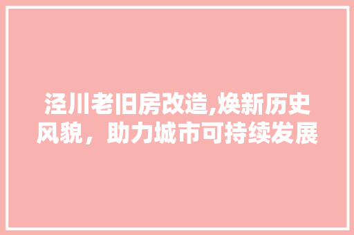 泾川老旧房改造,焕新历史风貌，助力城市可持续发展