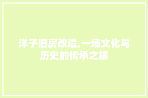 洋子旧房改造,一场文化与历史的传承之旅