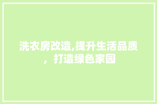 洗衣房改造,提升生活品质，打造绿色家园