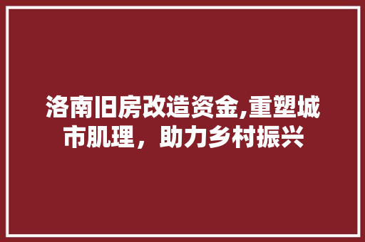 洛南旧房改造资金,重塑城市肌理，助力乡村振兴