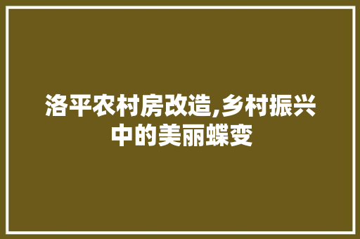 洛平农村房改造,乡村振兴中的美丽蝶变